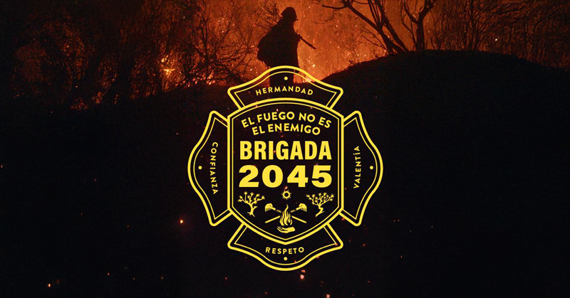 BRIGADA 2045
